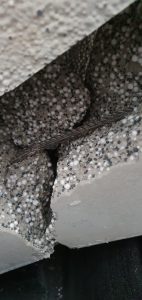 próbatest hajlítószilárdsági vizsgálat